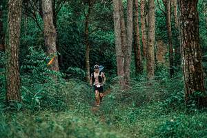 BIB: 
                            <button type="button" onclick="openModal(25237894)" class="btn btn-primary btn-sm float-right btn-popup" data-toggle="modal" data-target=".modal-high-quality">
                        <i class="fas fa-shopping-cart"></i> Add to Cart
                    </button>
                                            <button type="button" onclick="isThisMe(25237894, true)" class="btn btn-success btn-sm float-right btn-popup btn-isme hidden" data-toggle="tooltip" data-placement="bottom" title="นี่คือรูปของคุณใช่ไหม คลิกที่นี่เพื่อเอาเข้าอัลบั้ม">
                        <i class="fas fa-plus"></i> Add to album
                    </button>
                    <button type="button" onclick="isThisMe(25237894, false)" class="btn btn-warning btn-sm float-right btn-popup btn-isnotme hidden">
                        <i class="fas fa-ban"></i> Remove from album
                    </button>